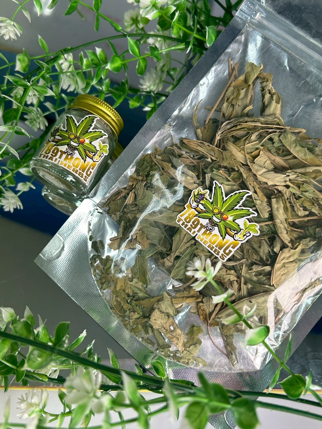 สมุนไพรกัญชากับกฎหมายในประเทศไทย