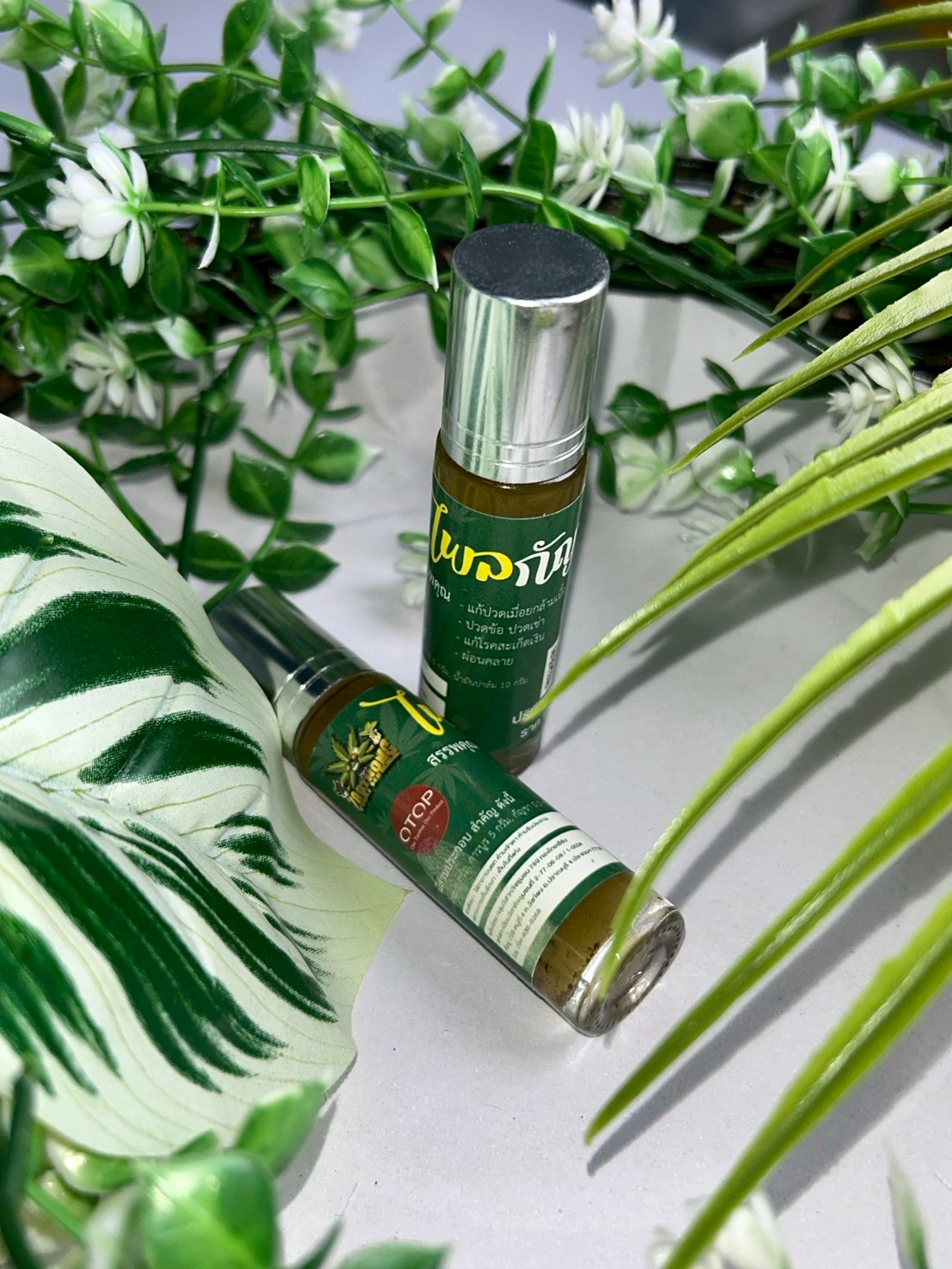 การใช้ไพลกัญชาในตำรับยาพื้นบ้านและเวชศาสตร์แผนไทย